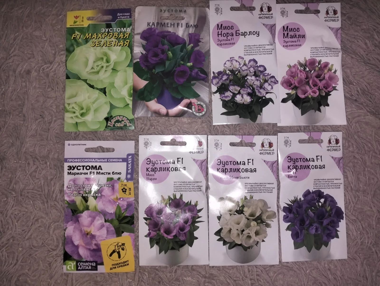 Изображение WhatsApp 2025-01-28 в 18.05.31_ce06cac2.webp