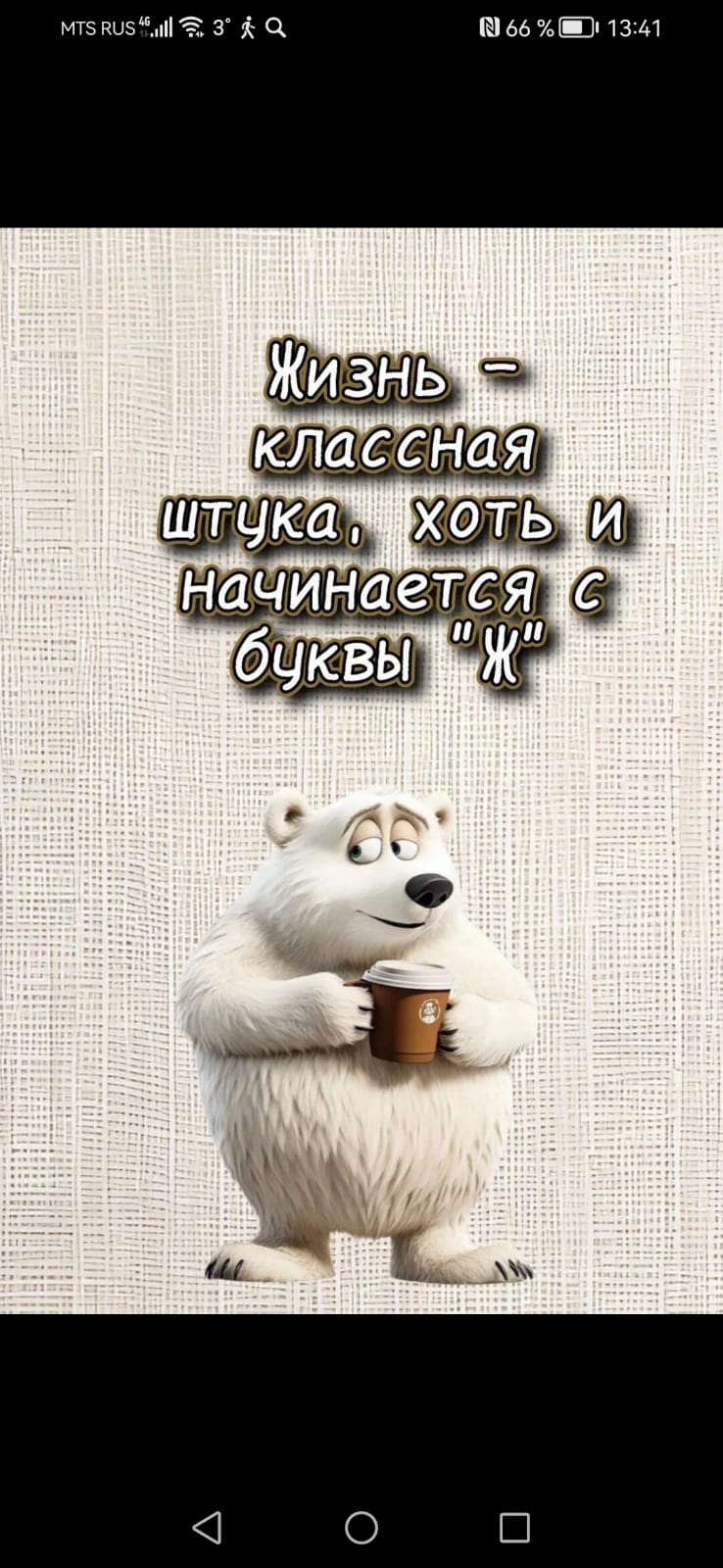 Изображение WhatsApp 2025-02-03 в 08.01.34_a8592098.jpg