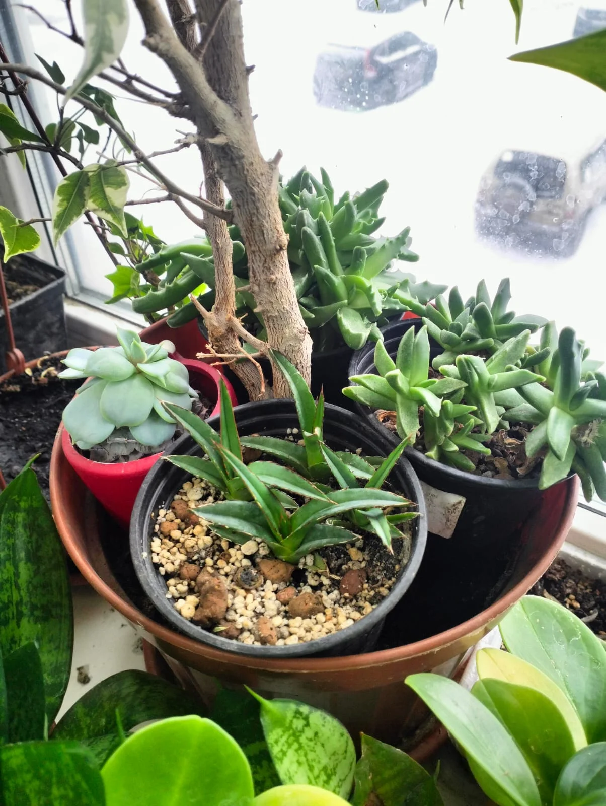 Изображение WhatsApp 2025-02-07 в 12.56.47_9656e50b.webp