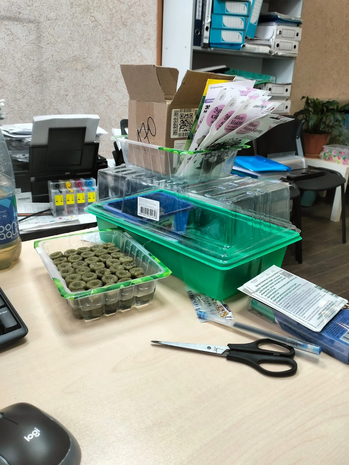 Изображение WhatsApp 2025-02-07 в 14.04.35_65ecc88c.webp