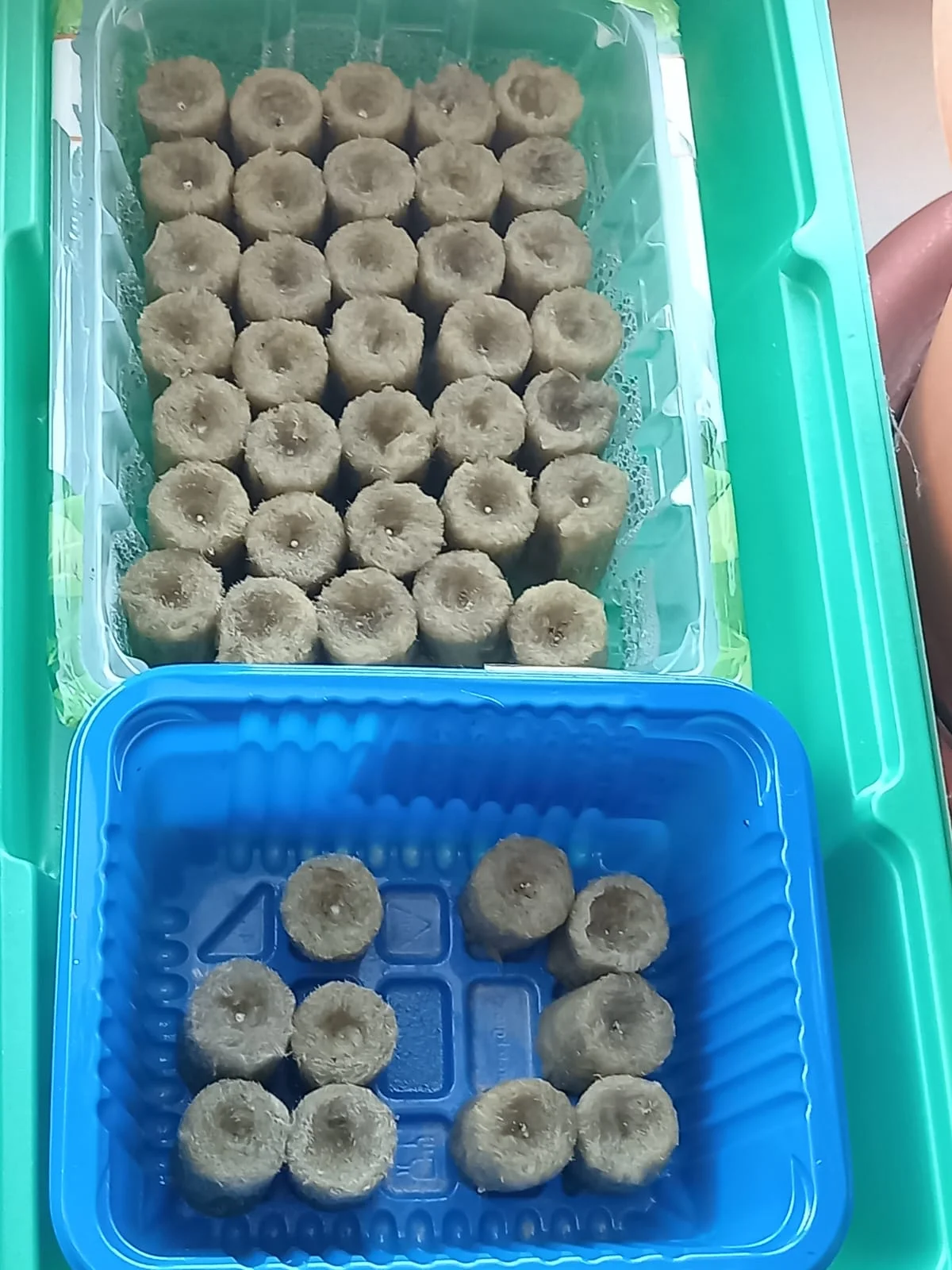 Изображение WhatsApp 2025-02-12 в 10.15.11_b41465d0.webp