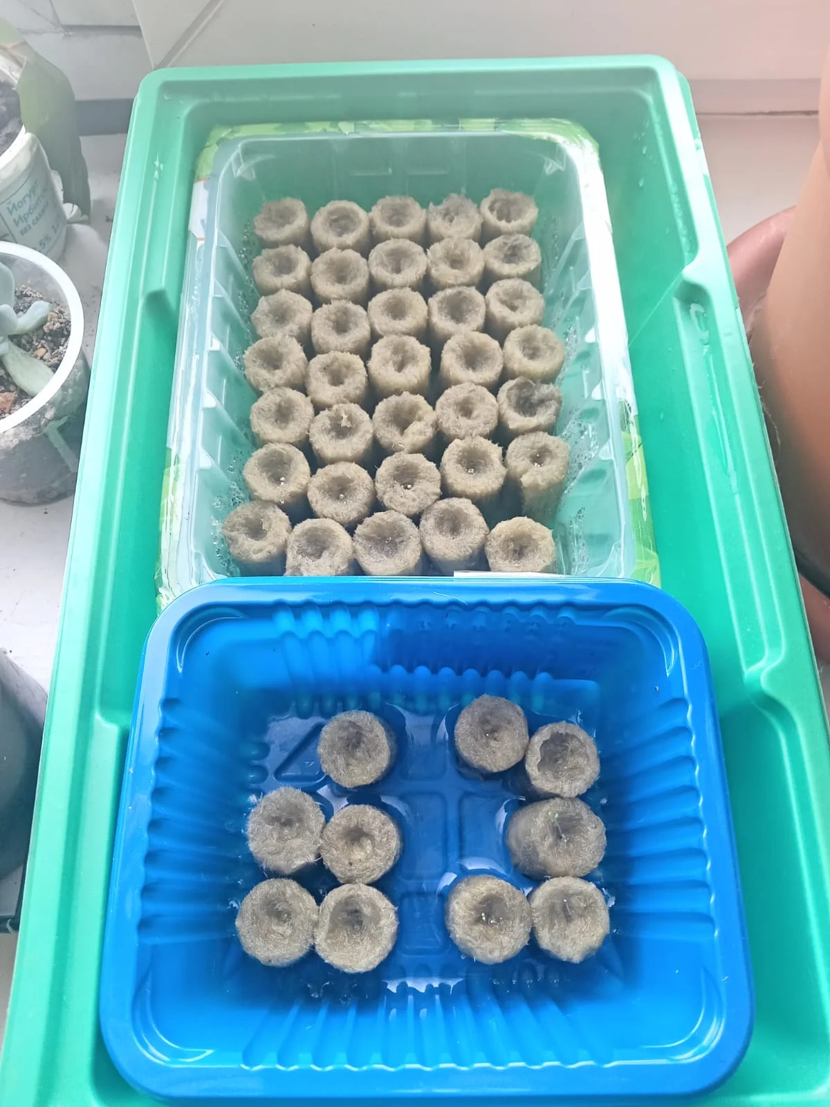 Изображение WhatsApp 2025-02-17 в 12.08.46_f6358b8b.webp