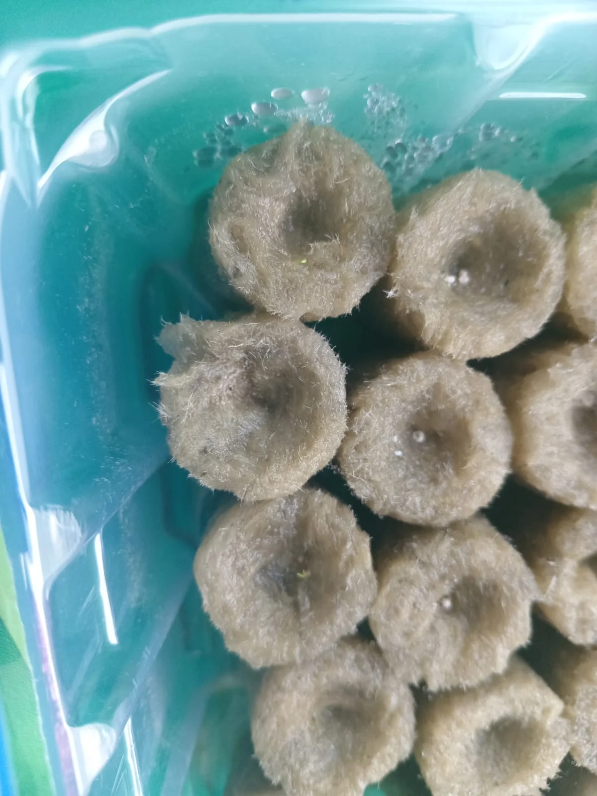 Изображение WhatsApp 2025-02-17 в 12.08.47_2c15078c.webp