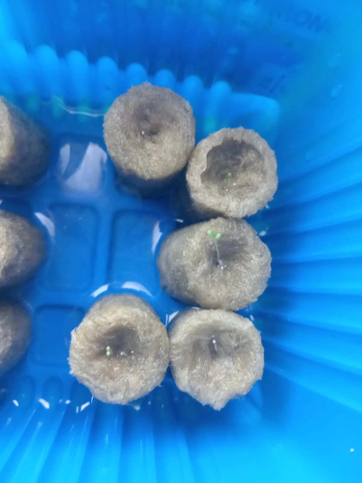 Изображение WhatsApp 2025-02-17 в 12.08.47_98f155db.webp