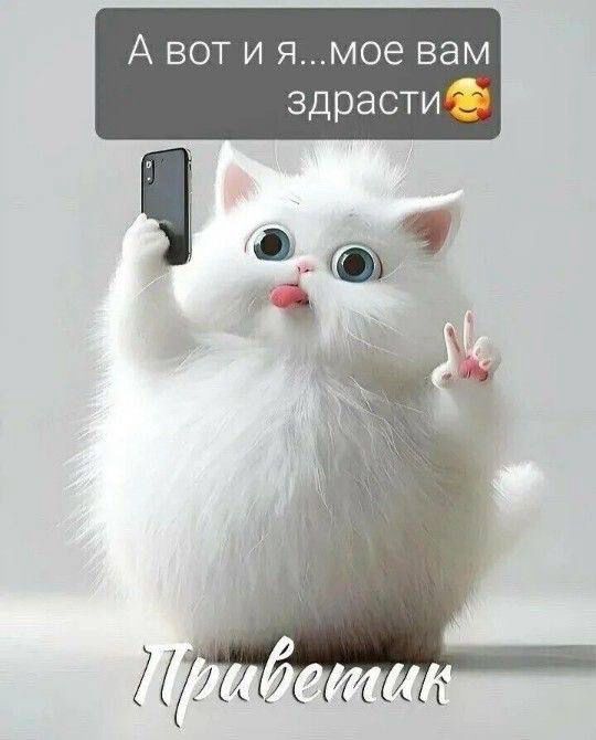 Изображение WhatsApp 2025-03-06 в 09.32.20_dbb84fa9.jpg