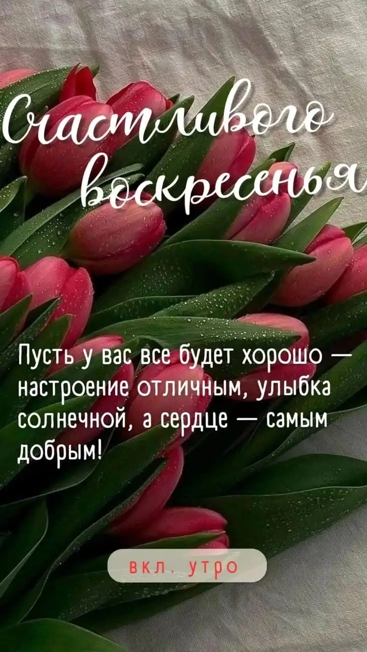 Изображение WhatsApp 2025-03-23 в 11.11.08_3037ddbc.webp