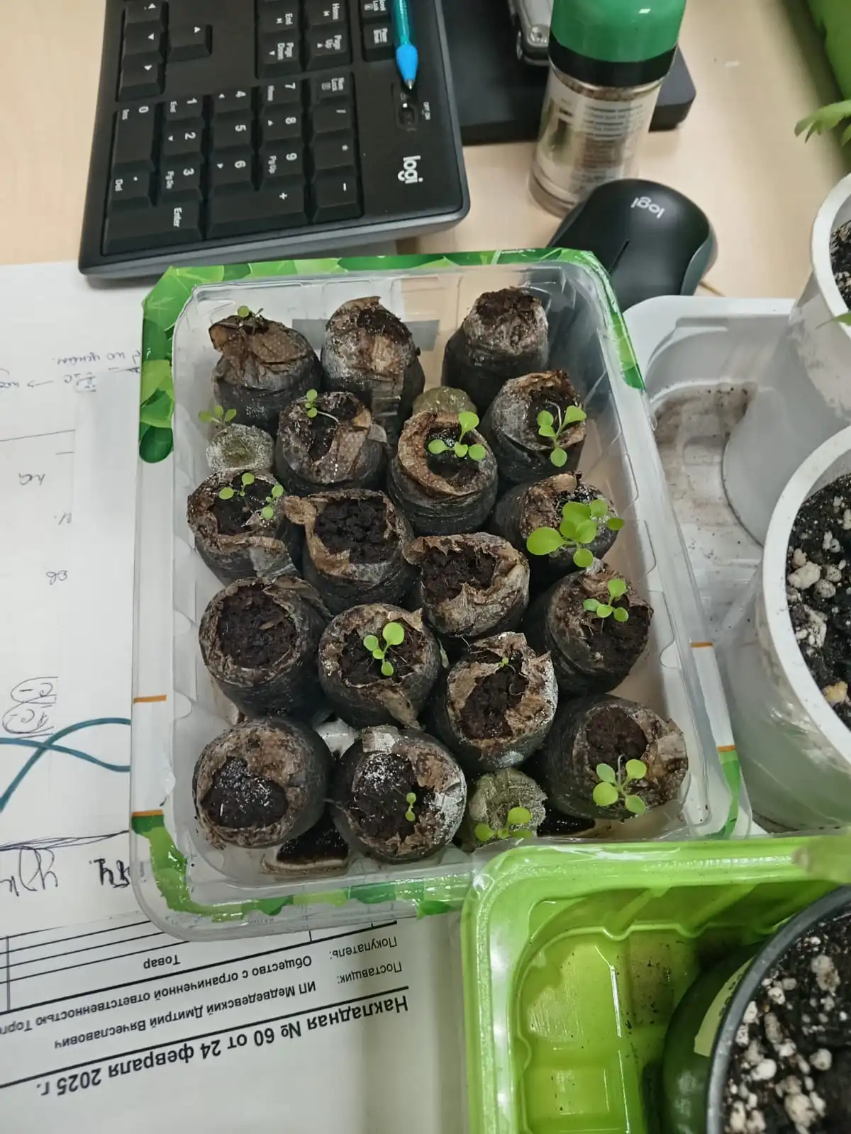 Изображение WhatsApp 2025-04-25 в 17.51.02_3b9220a2.webp