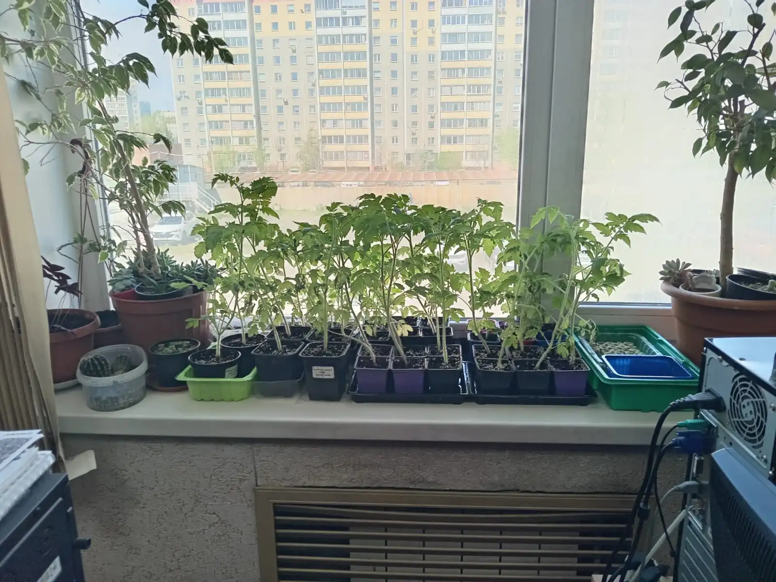 Изображение WhatsApp 2025-05-04 в 13.44.14_d83ad585.webp