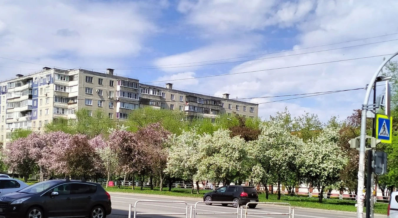 Изображение WhatsApp 2025-05-09 в 16.52.19_17959049.webp