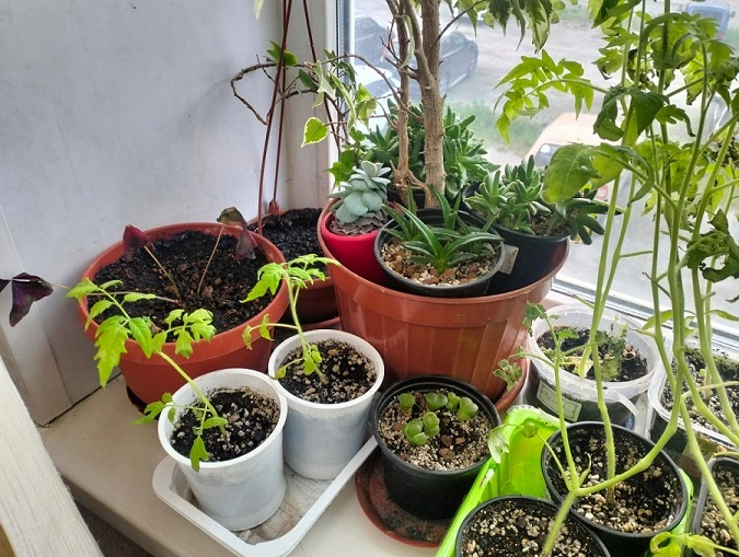 Изображение WhatsApp 2025-05-22 в 17.45.58_602bcc5e.webp