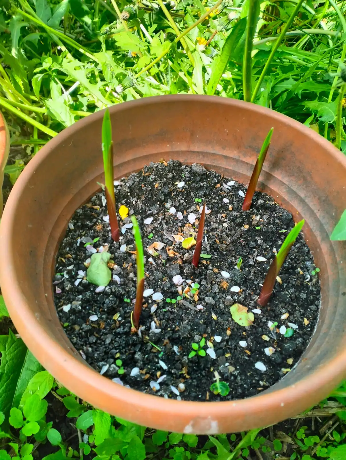 Изображение WhatsApp 2025-05-24 в 19.48.47_6d6c7c5b.webp