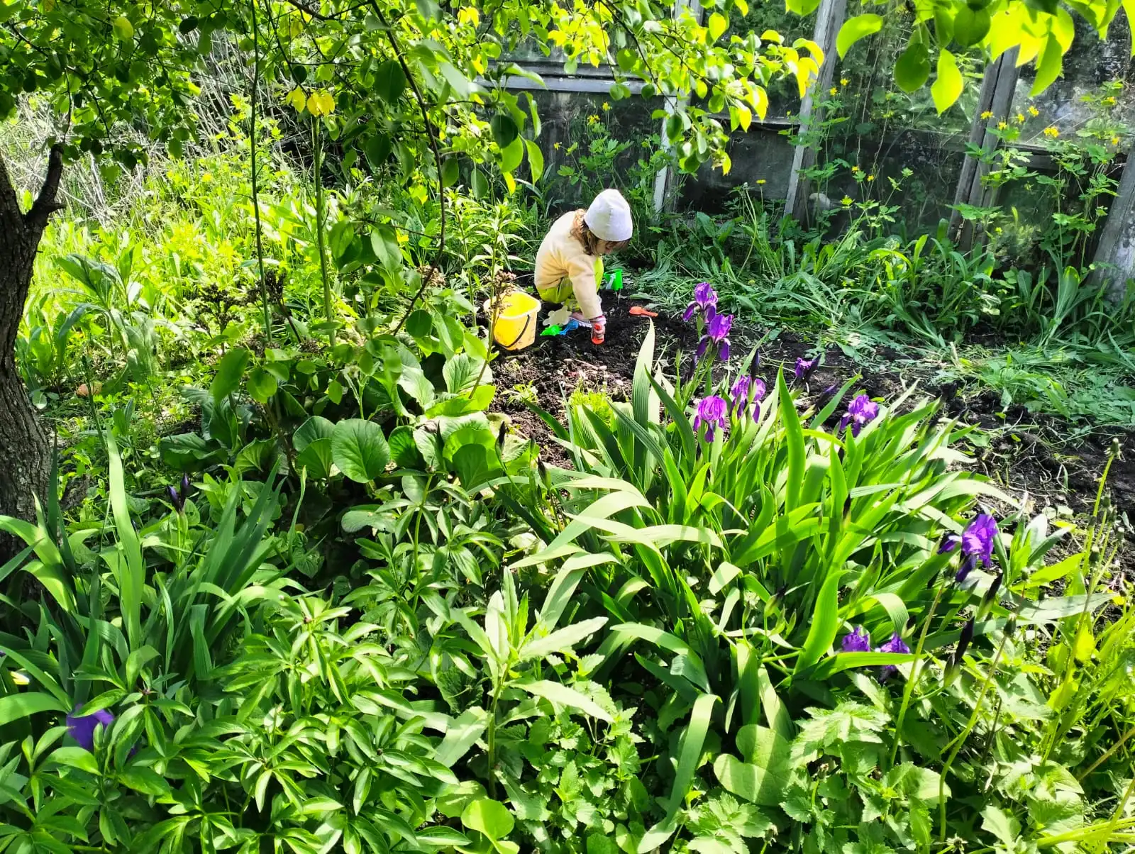 Изображение WhatsApp 2025-05-24 в 19.48.48_0cd15748.webp