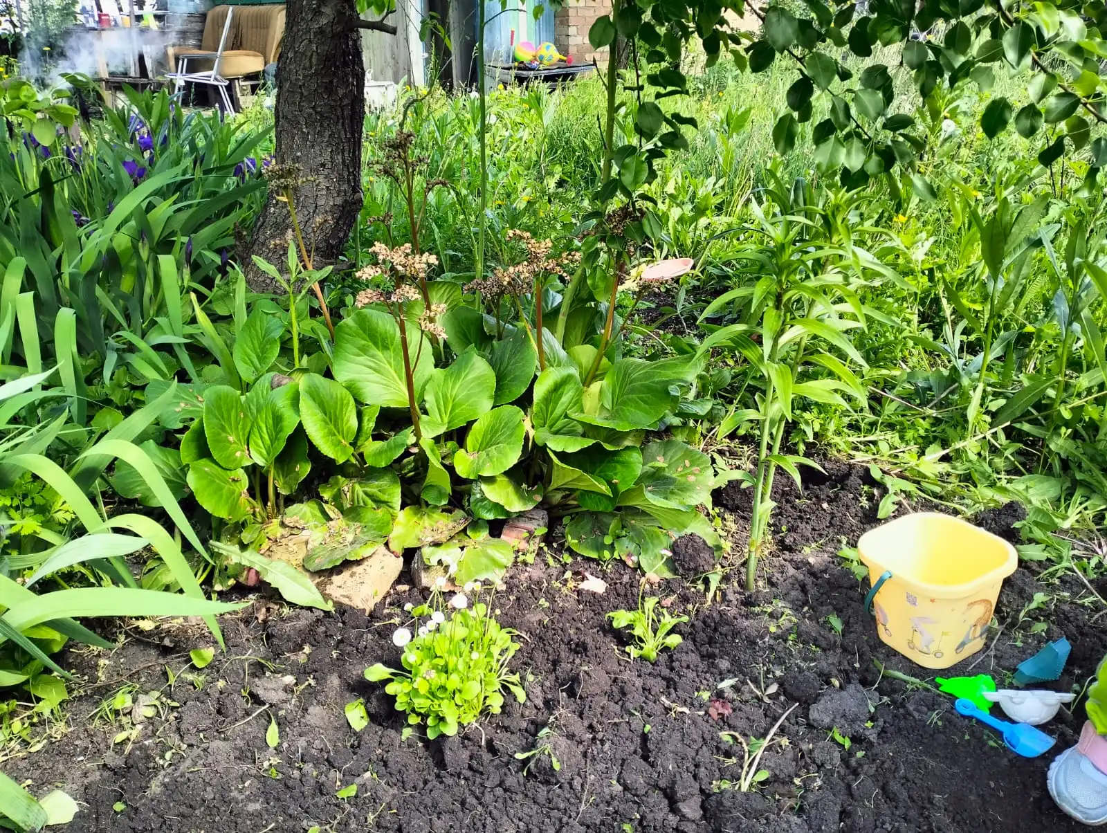 Изображение WhatsApp 2025-05-24 в 19.48.48_cdc3b217.webp