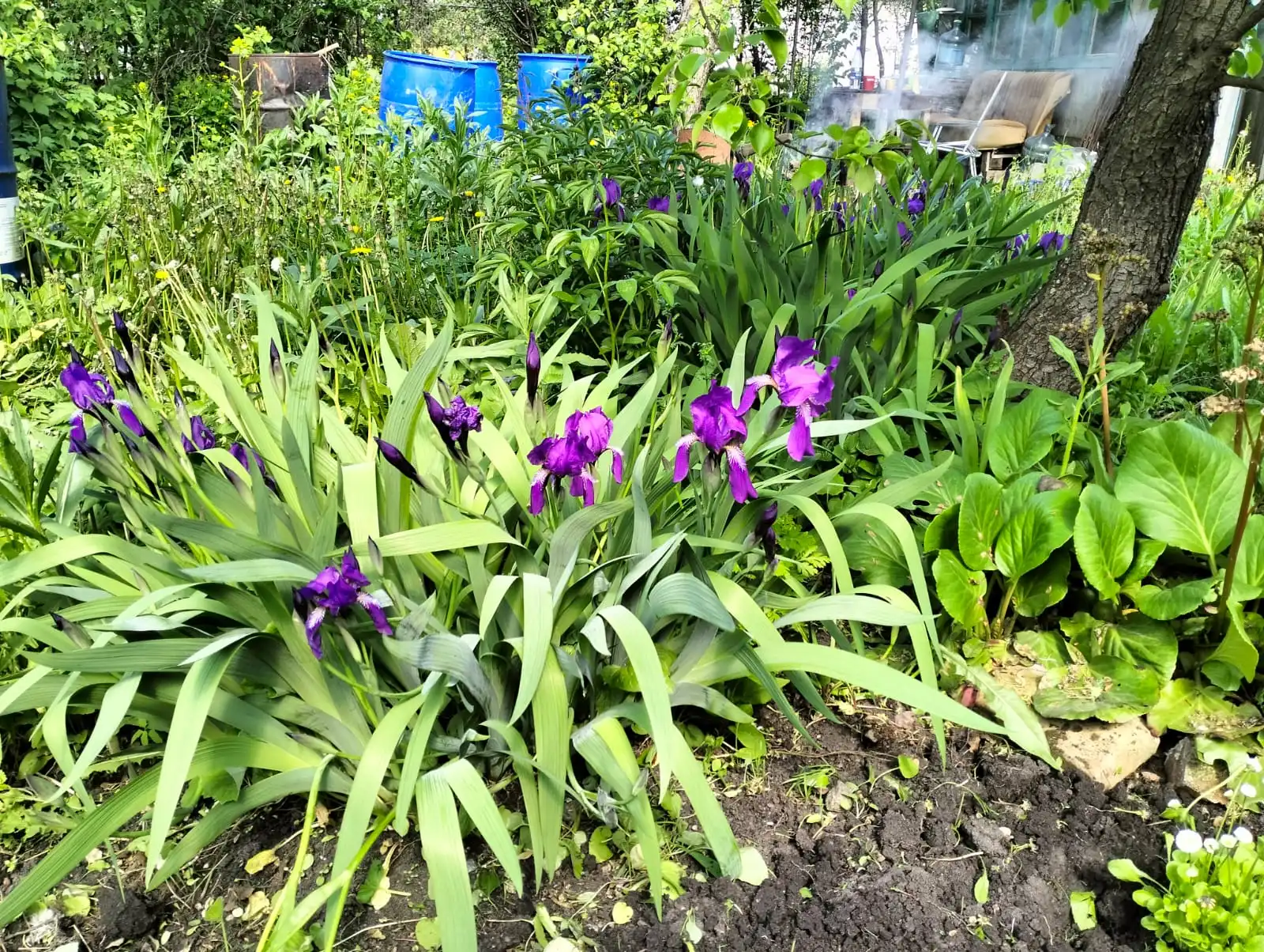 Изображение WhatsApp 2025-05-24 в 19.48.48_d16064ad.webp