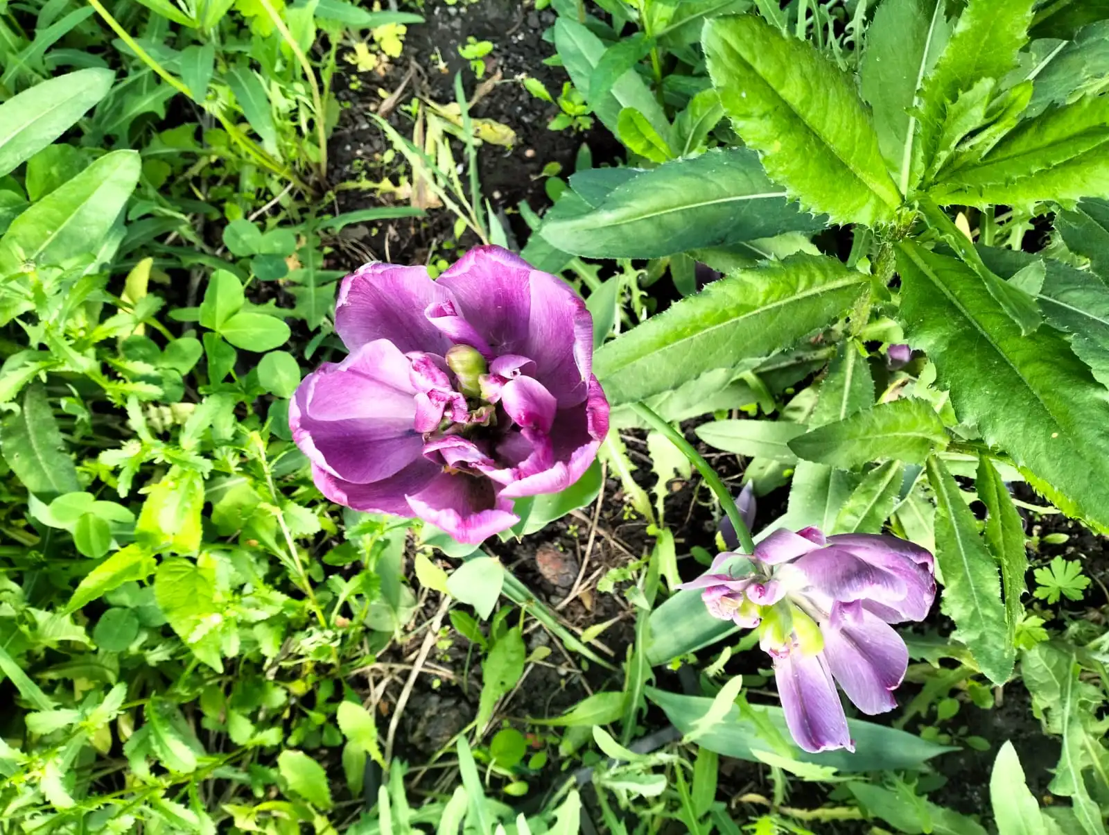 Изображение WhatsApp 2025-05-24 в 19.49.32_0e718784.webp