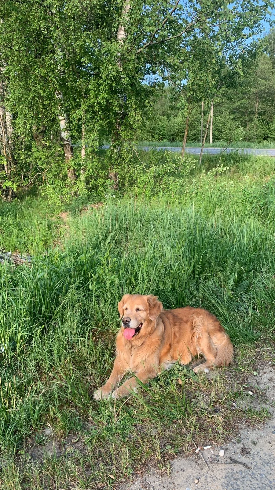 Изображение WhatsApp 2025-06-02 в 18.36.51_31aff78a.webp