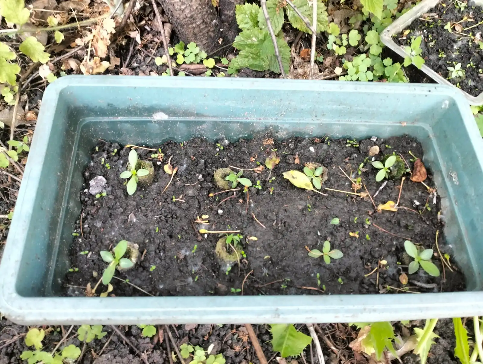 Изображение WhatsApp 2025-06-09 в 09.29.21_55776722.webp