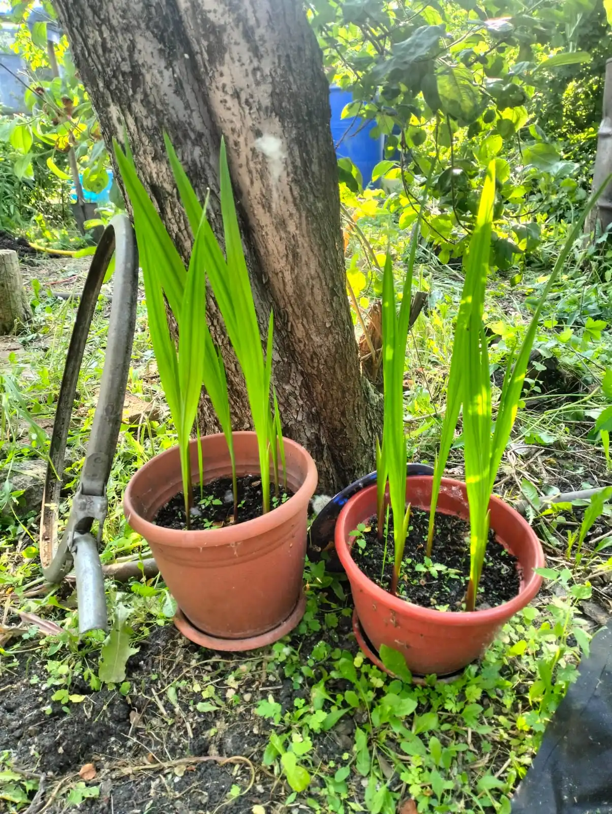 Изображение WhatsApp 2025-06-09 в 09.29.21_6bb6374d.webp