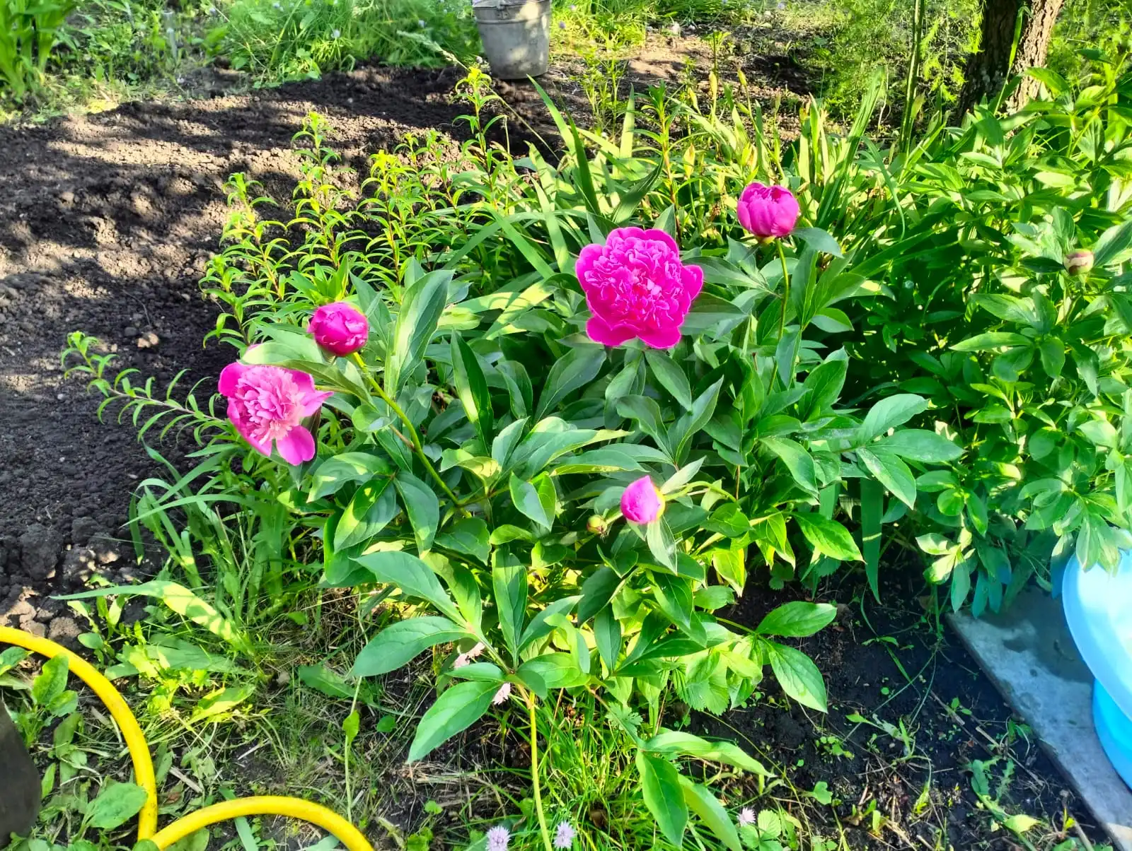 Изображение WhatsApp 2025-06-09 в 09.29.22_c73876be.webp