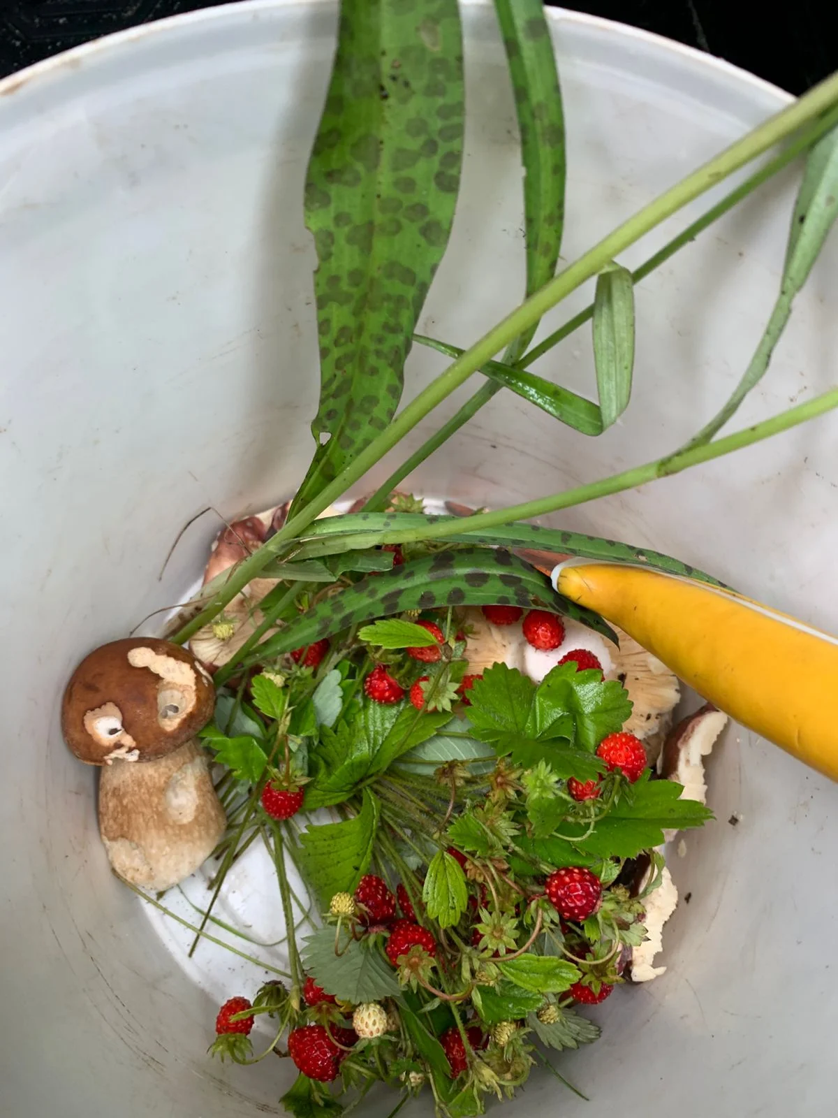 Изображение WhatsApp 2025-06-26 в 12.17.15_027fa2d0.webp