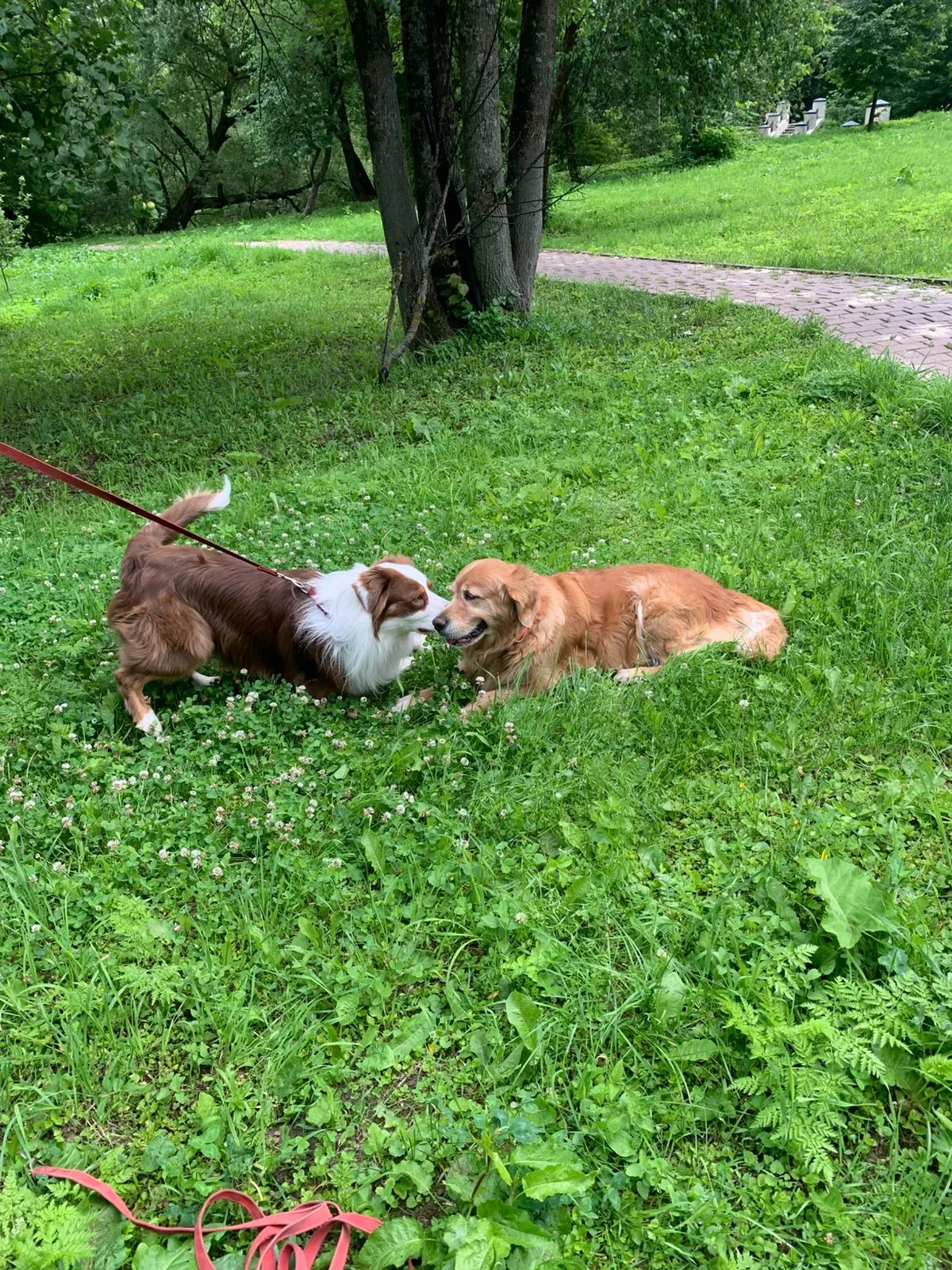 Изображение WhatsApp 2025-06-29 в 13.56.47_a8b3c849.webp