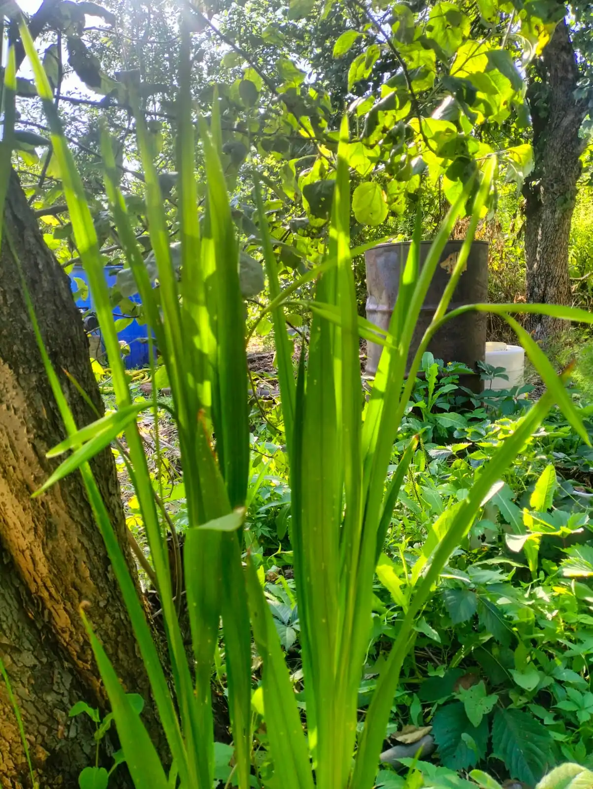 Изображение WhatsApp 2025-07-21 в 12.07.59_cd60497e.webp