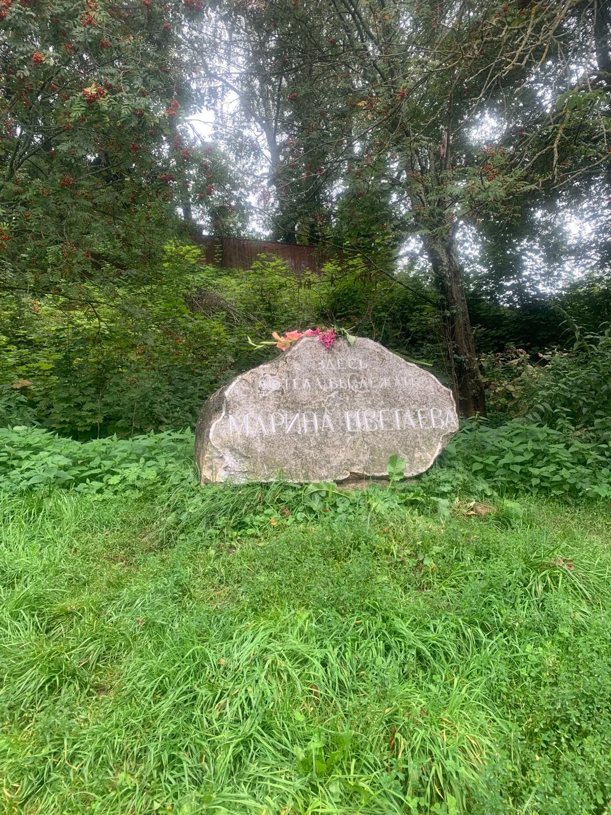 Изображение WhatsApp 2025-08-24 в 10.15.37_1fb92941.webp