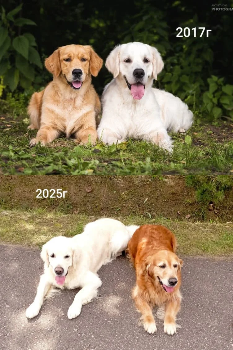 Изображение WhatsApp 2025-09-06 в 17.05.19_6f07d580.webp