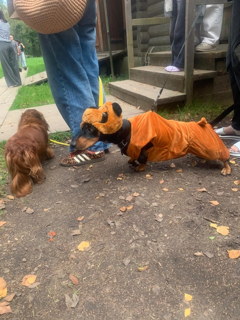 Изображение WhatsApp 2025-09-07 в 14.32.10_819f3d59.webp