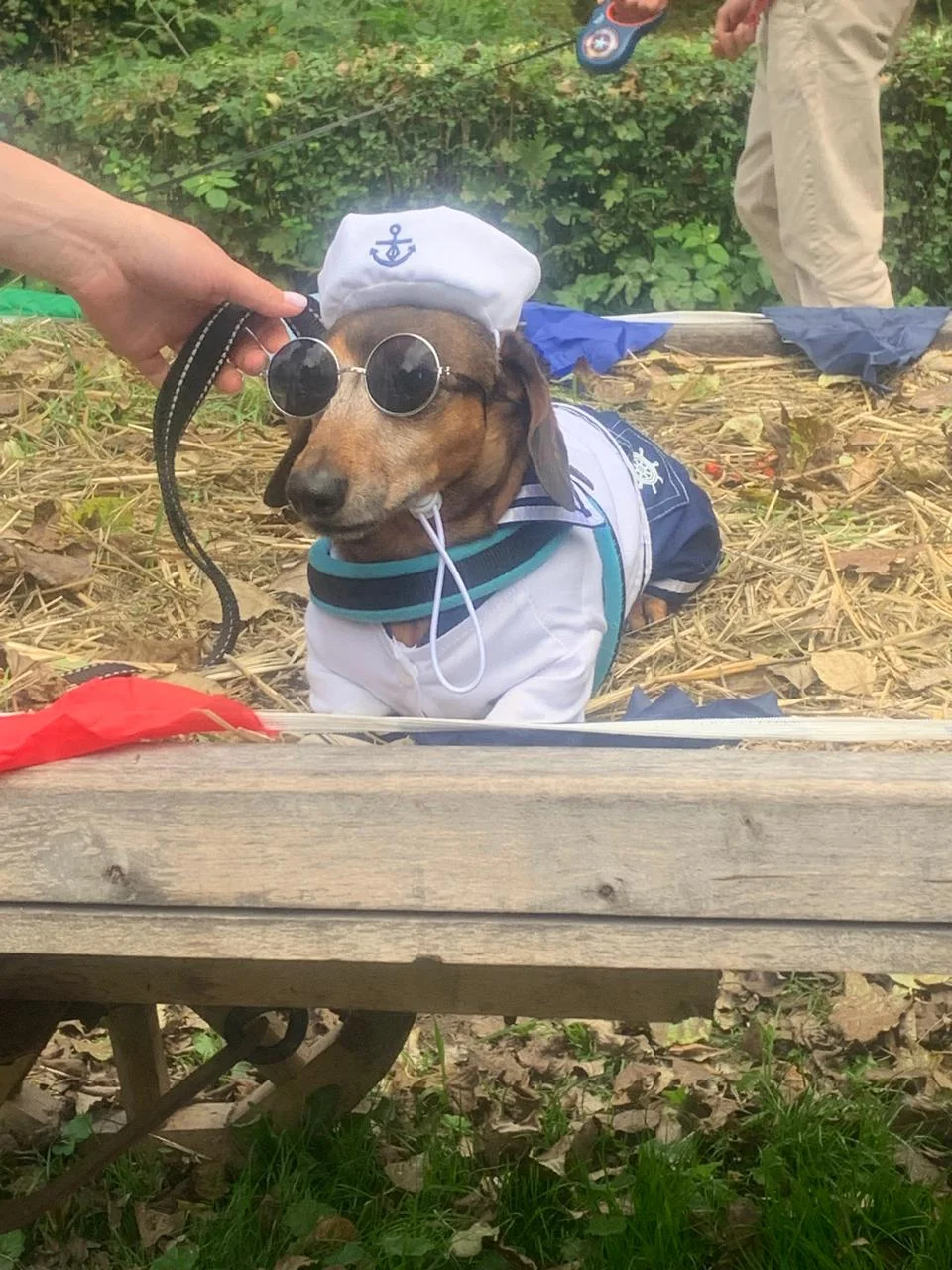 Изображение WhatsApp 2025-09-07 в 14.32.10_84807afe.webp