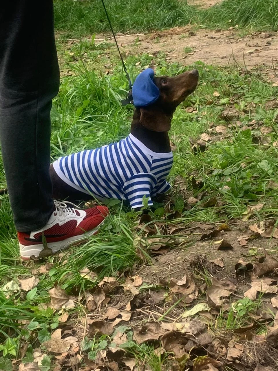 Изображение WhatsApp 2025-09-07 в 14.32.10_b40ac096.webp