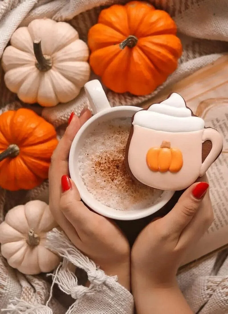 Изображение WhatsApp 2025-09-17 в 07.33.43_c67296a6.webp