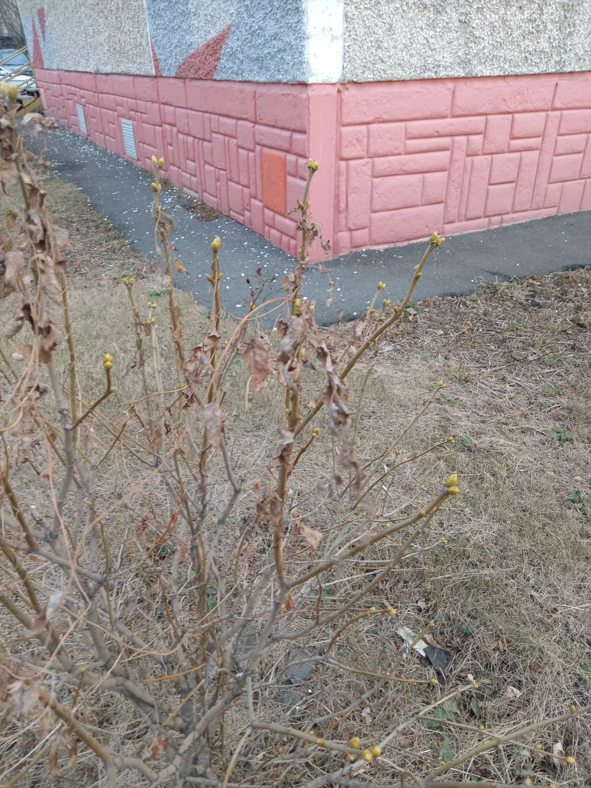 Изображение WhatsApp 2025-11-27 в 09.13.39_0416b25f.webp