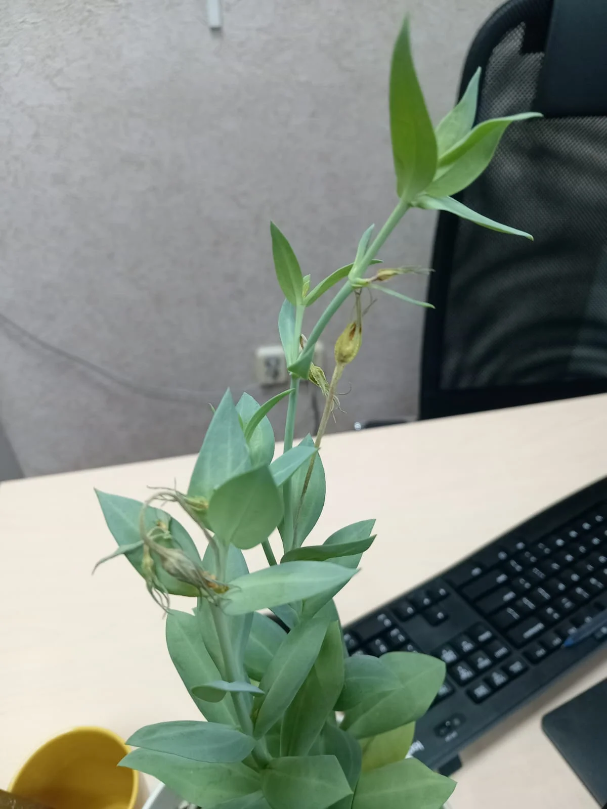 Изображение WhatsApp 2025-11-27 в 10.36.05_5d9bee51.webp