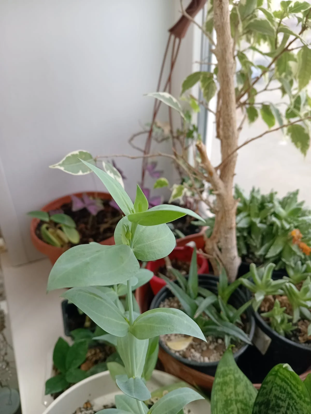 Изображение WhatsApp 2025-11-27 в 10.38.00_988eda4c.webp