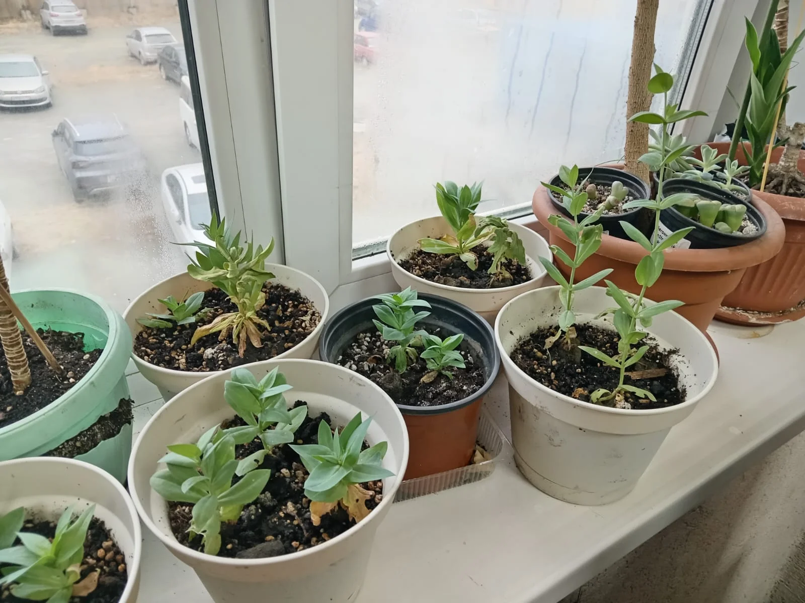 Изображение WhatsApp 2025-11-27 в 10.39.29_399c2bdd.webp