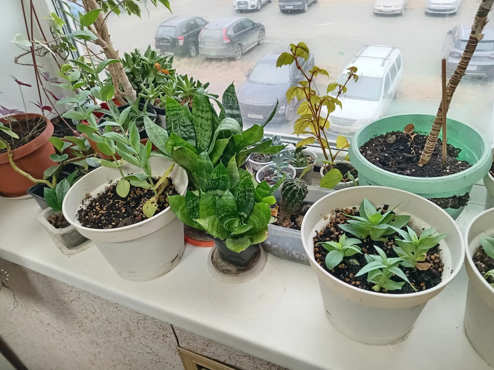 Изображение WhatsApp 2025-11-27 в 10.40.01_62b43303.webp