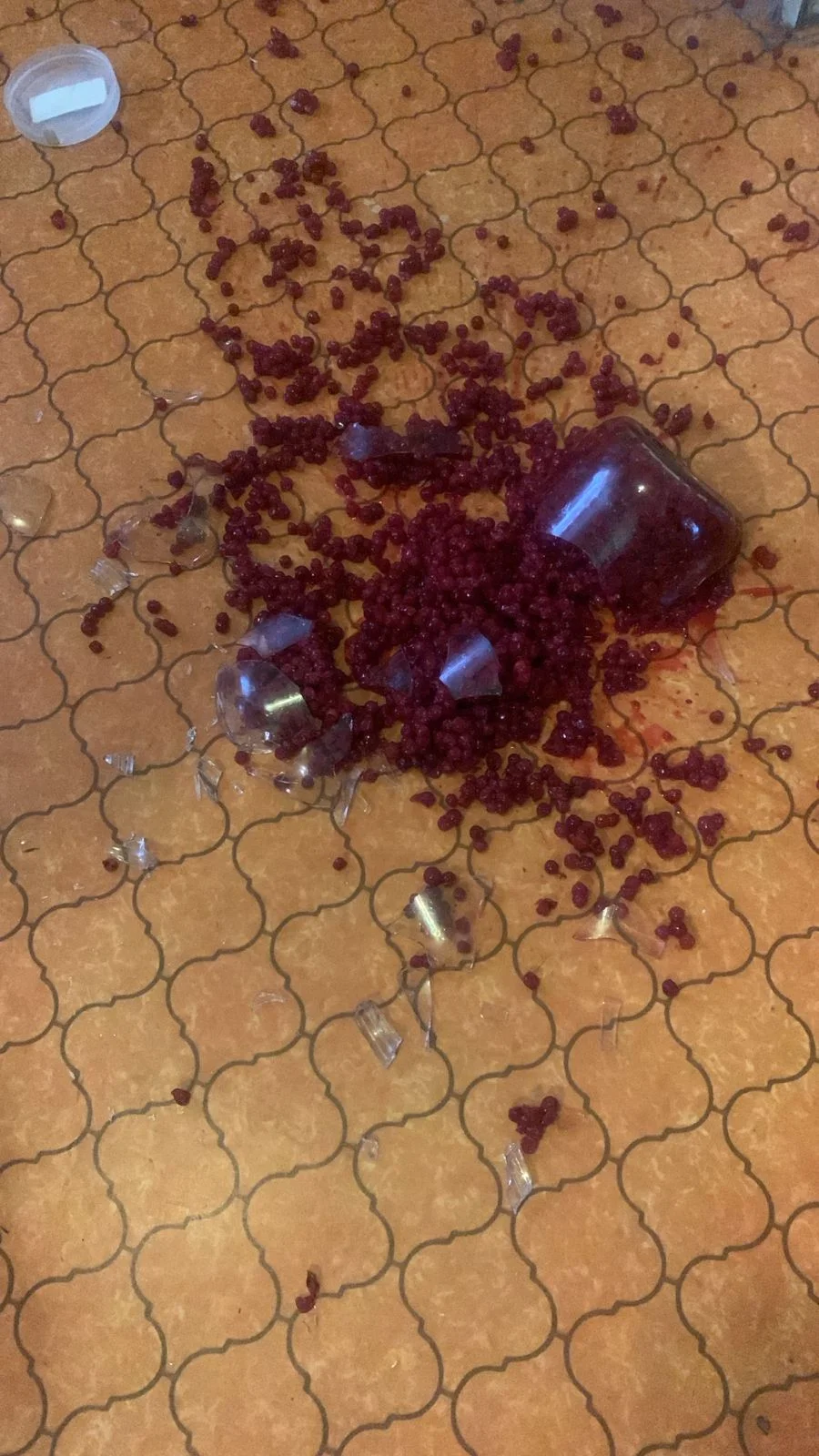 Изображение WhatsApp 2025-12-01 в 11.45.04_5f2d20b5.webp