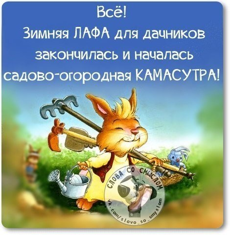 изображение_2021-04-13_060225.png