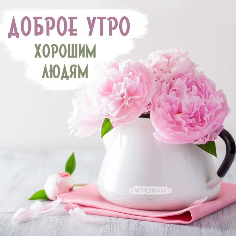 изображение_2023-06-15_083551122.png