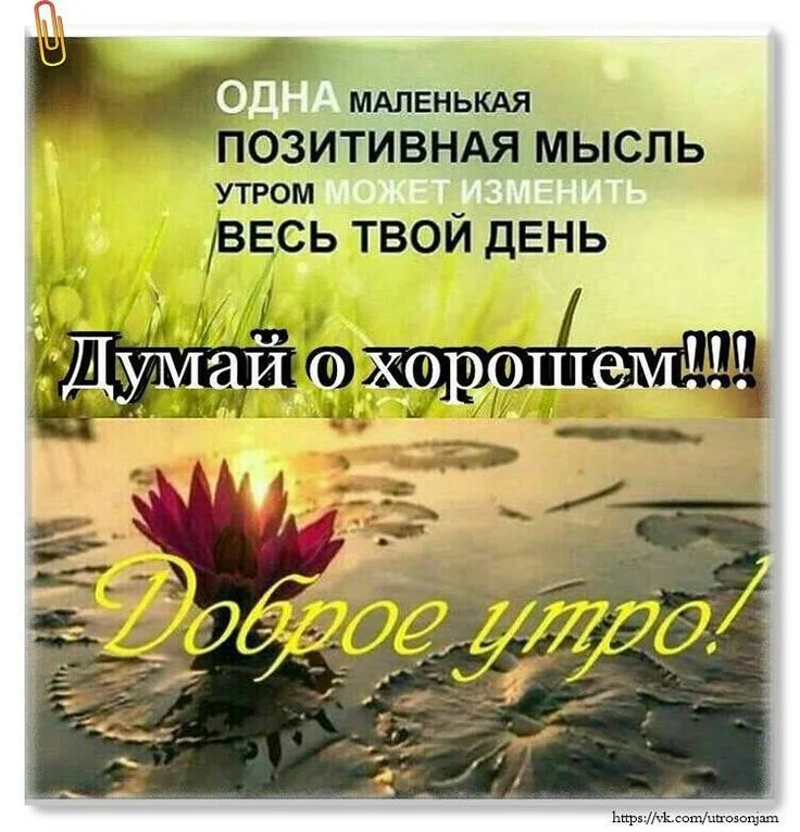 изображение_2024-01-19_082102538.webp
