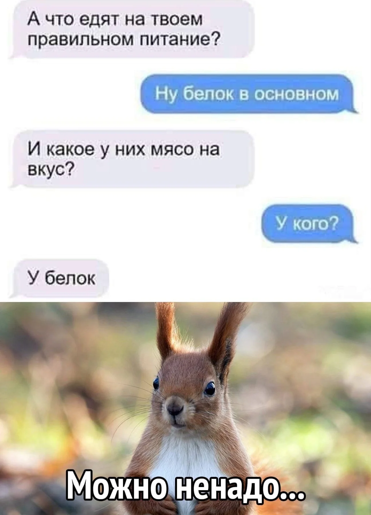 изображение_viber_2021-01-18_15-27-50.webp