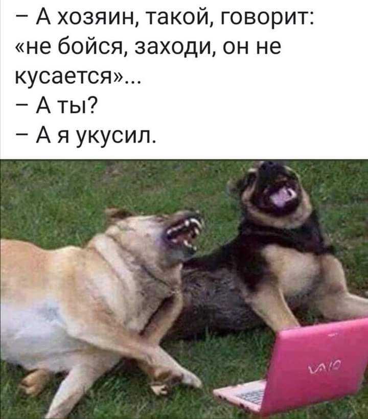 изображение_viber_2021-09-09_16-36-56-136.jpg