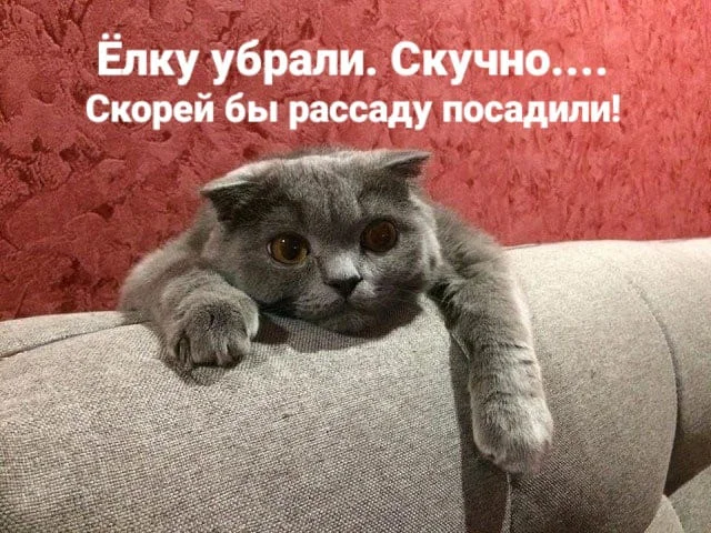 изображение_viber_2022-02-06_09-42-38-014.webp