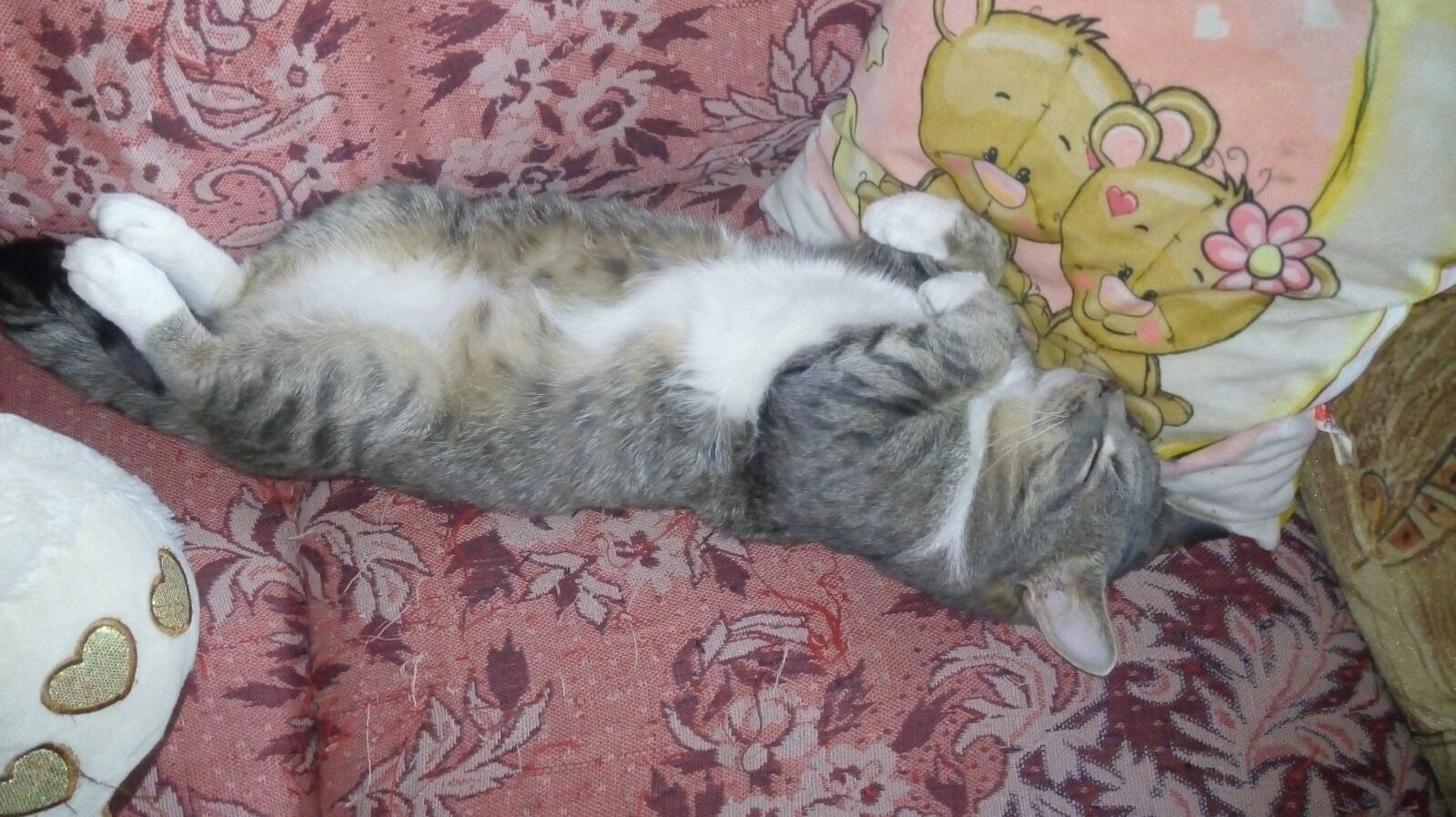 изображение_viber_2022-07-08_22-57-33-940.jpg