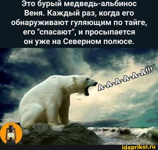 изображение_viber_2023-01-11_11-59-49-983.jpg