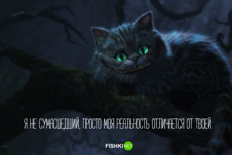 я не сумашедший.webp