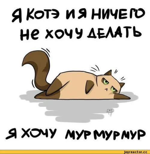 я-не-хочу-280637.webp