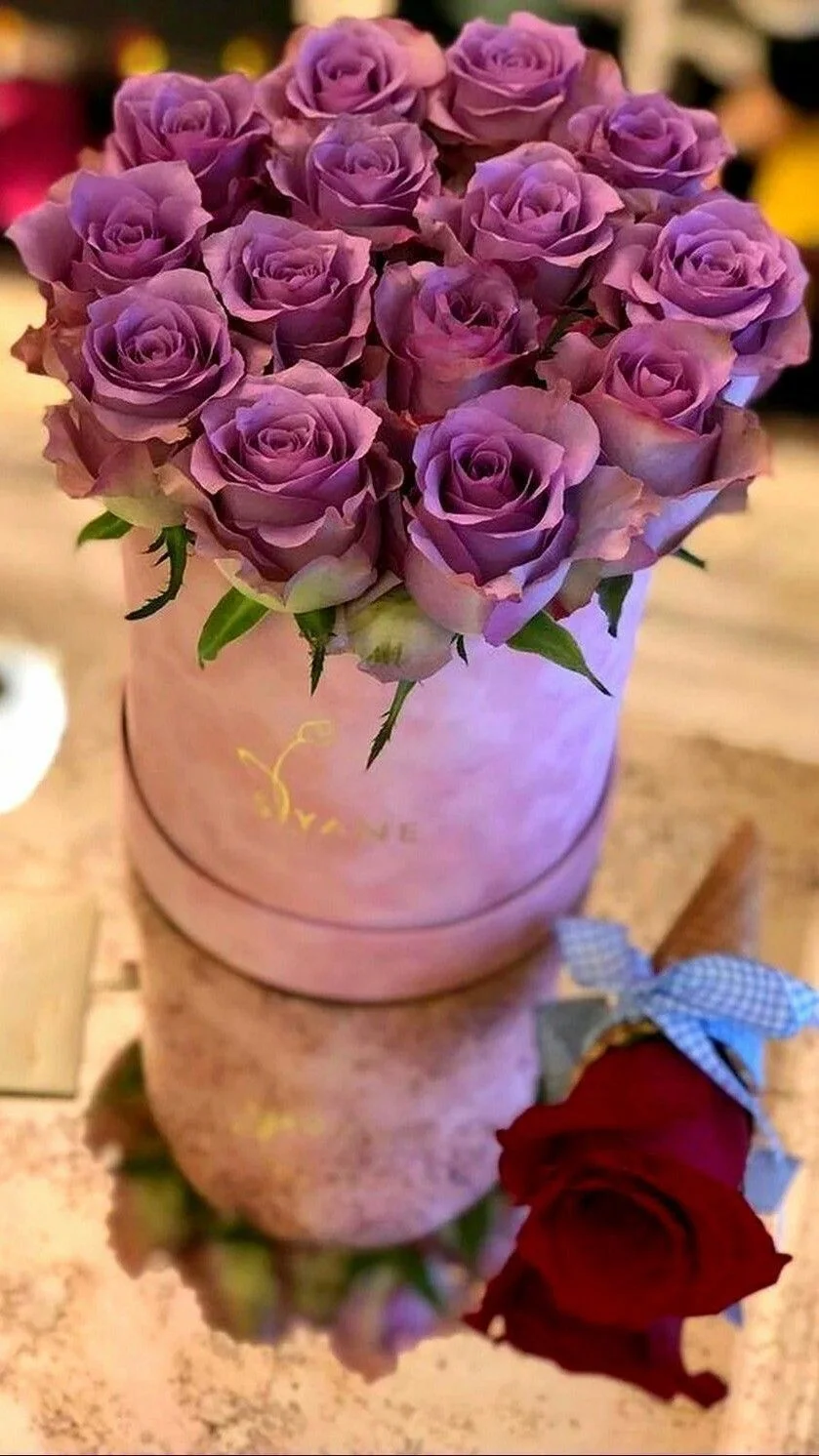 Ja sam to što jesam.webp