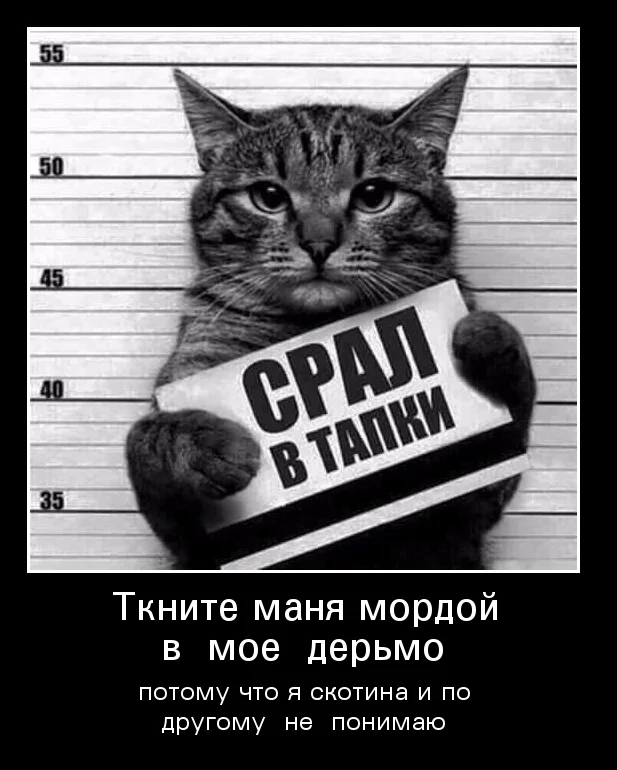 я скотина.webp